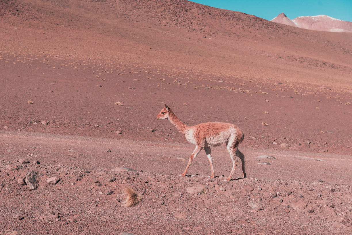 deserto-do-atacama