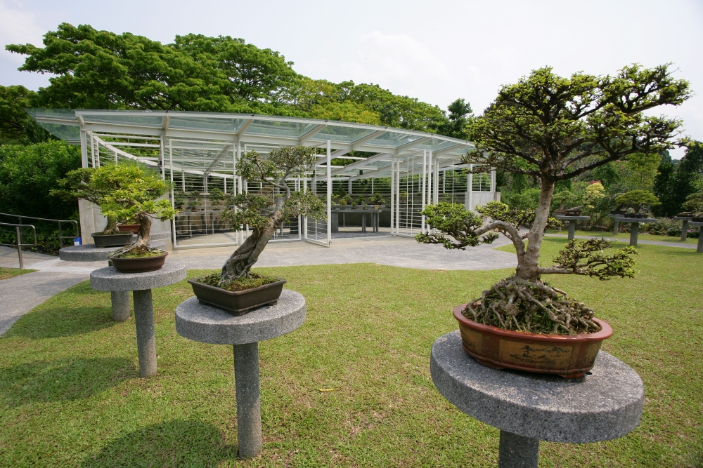 singapura-jardim-botanico