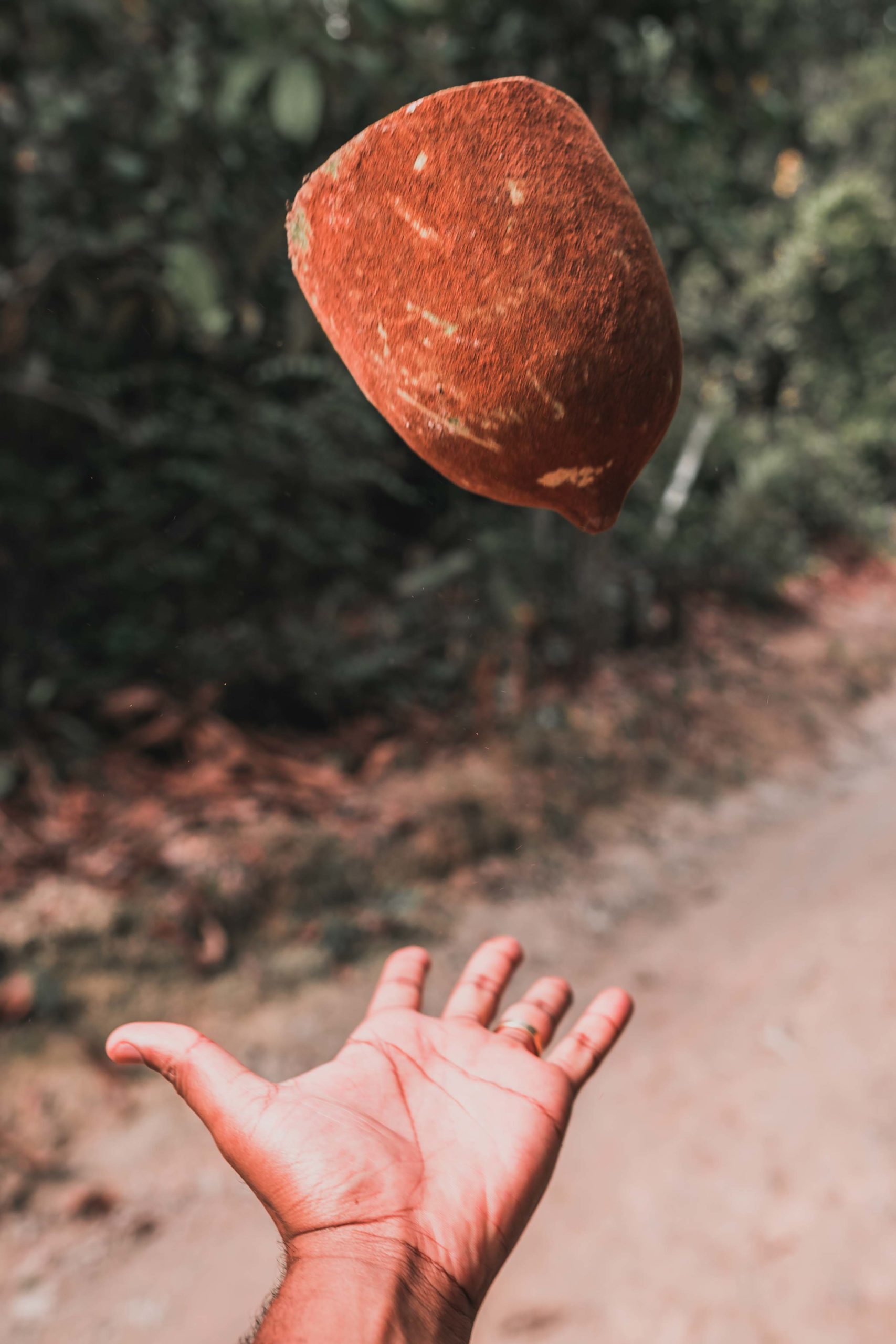 Comidas na Amazônia