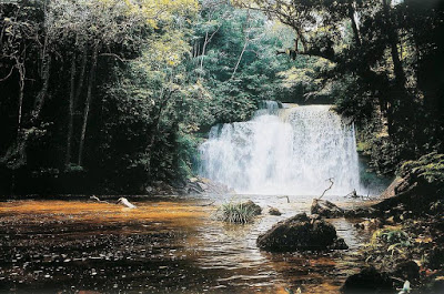 cachoeira-da-neblina