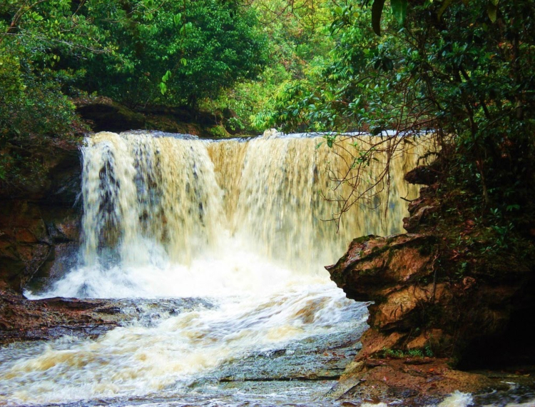 cachoeira-das-araras