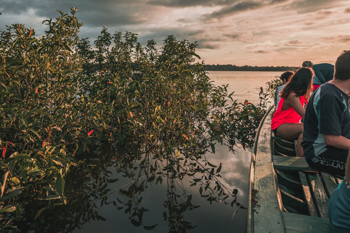 selva-amazonica