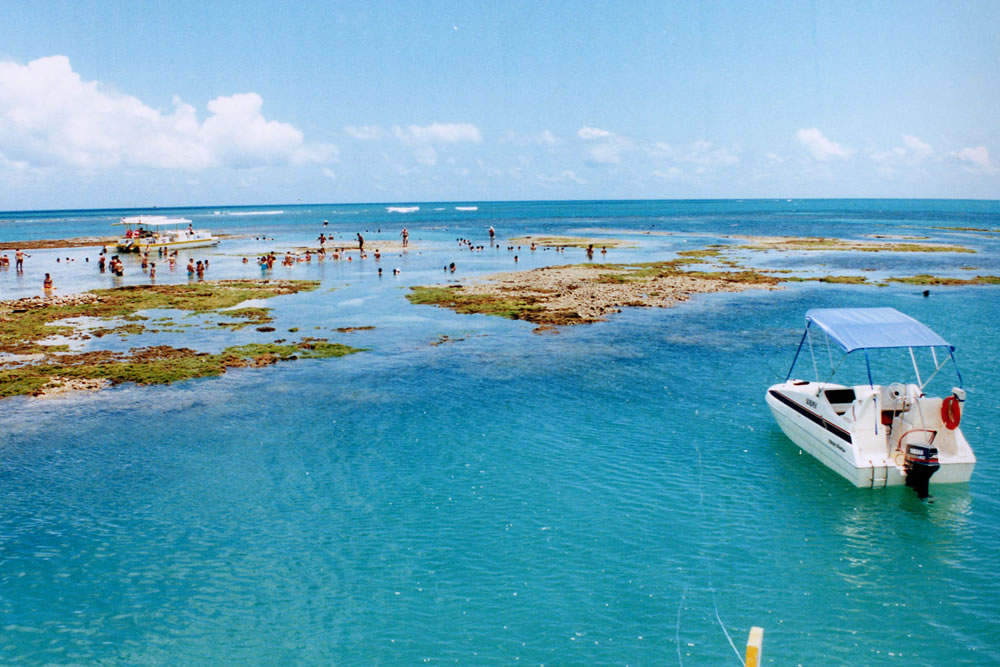 picaozinho-joao-pessoa