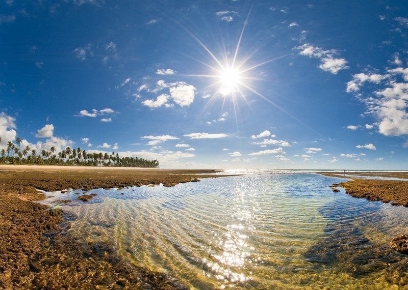 Excursão Praia do forte salvador