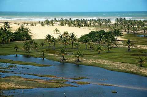 Pacatuba-pantanal-sergipe