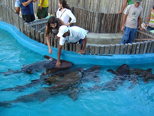 oceanario-aracaju