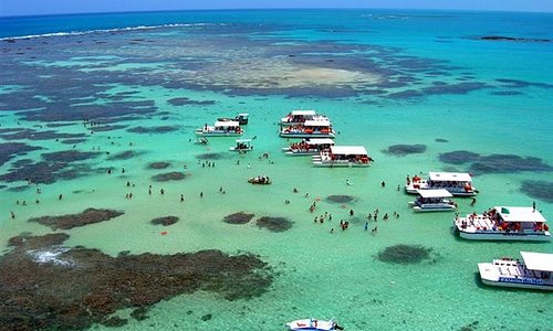 transfer porto de galinhas maragogi