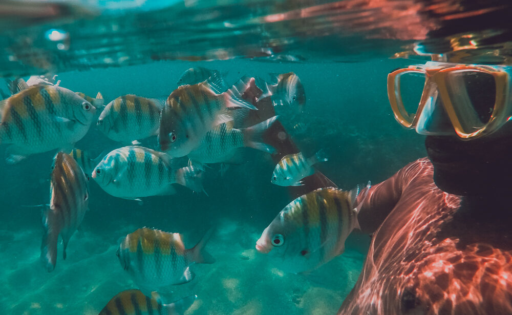 mergulho cilindro em Porto de Galinhas Pernambuco